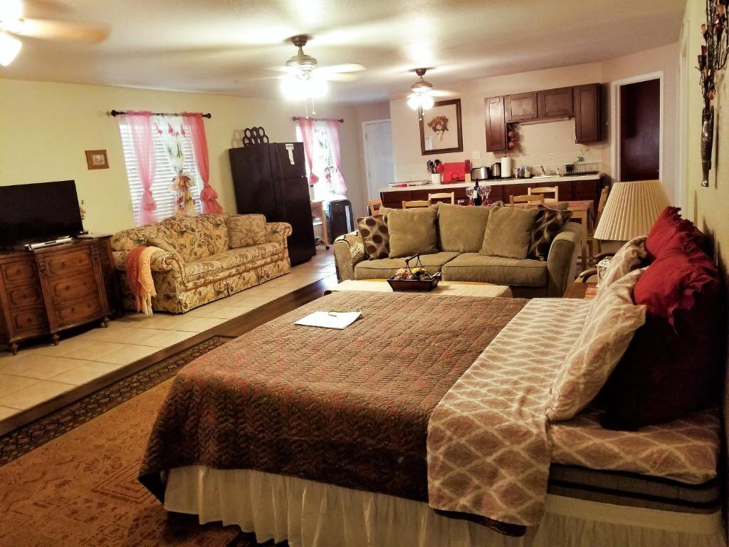 a living room with a bed and a couch at Charming Downstairs Unit in Oakhurst