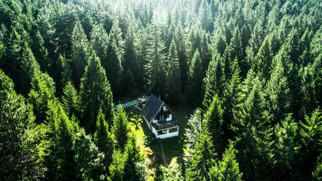 a cabin in the middle of a forest of trees at Holiday Home Kuća Ulaga in Ravna Gora