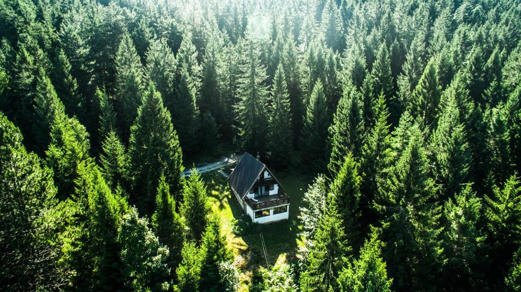 uma cabana no meio de uma floresta de árvores em Holiday Home Kuća Ulaga em Ravna Gora