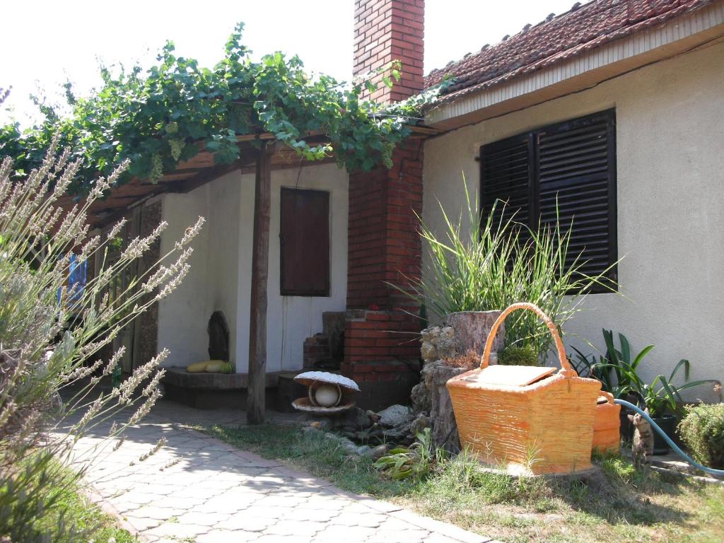 a house with a basket in front of it at Pržić House in Negotin