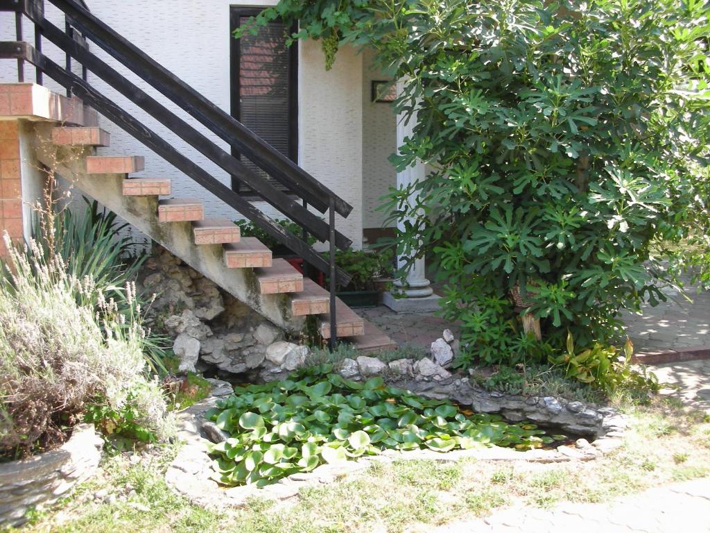 Zahrada ubytování Pržić House