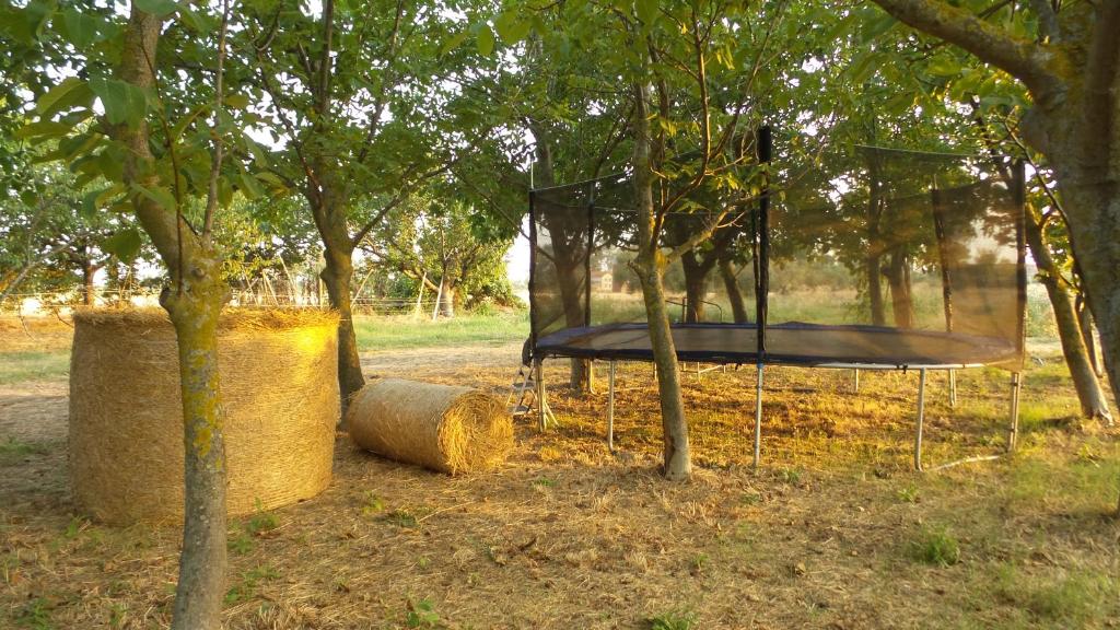 Ogród w obiekcie Cascina Cliternia