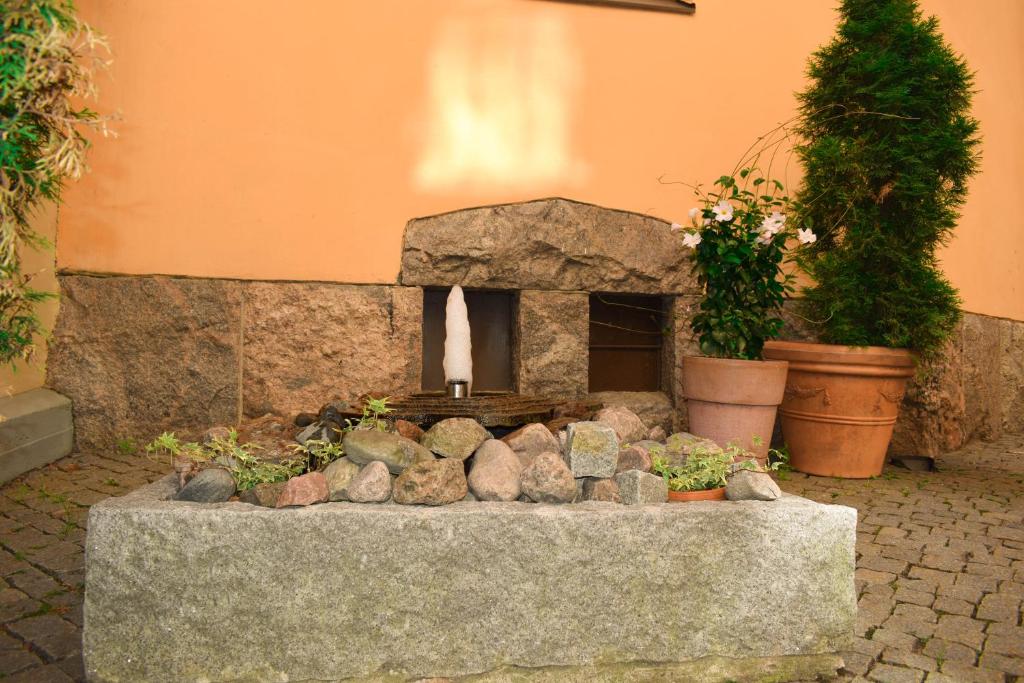 Zahrada ubytování Artist Apartment Susi