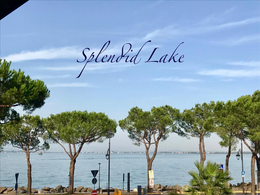 a view of the water and trees on the beach at Splendid Lake in Desenzano del Garda