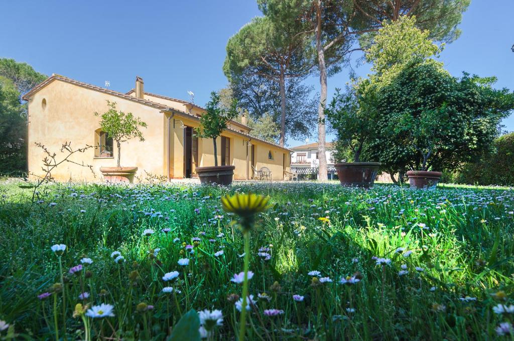 a field of flowers in front of a house at Pisa Holidays in Pisa