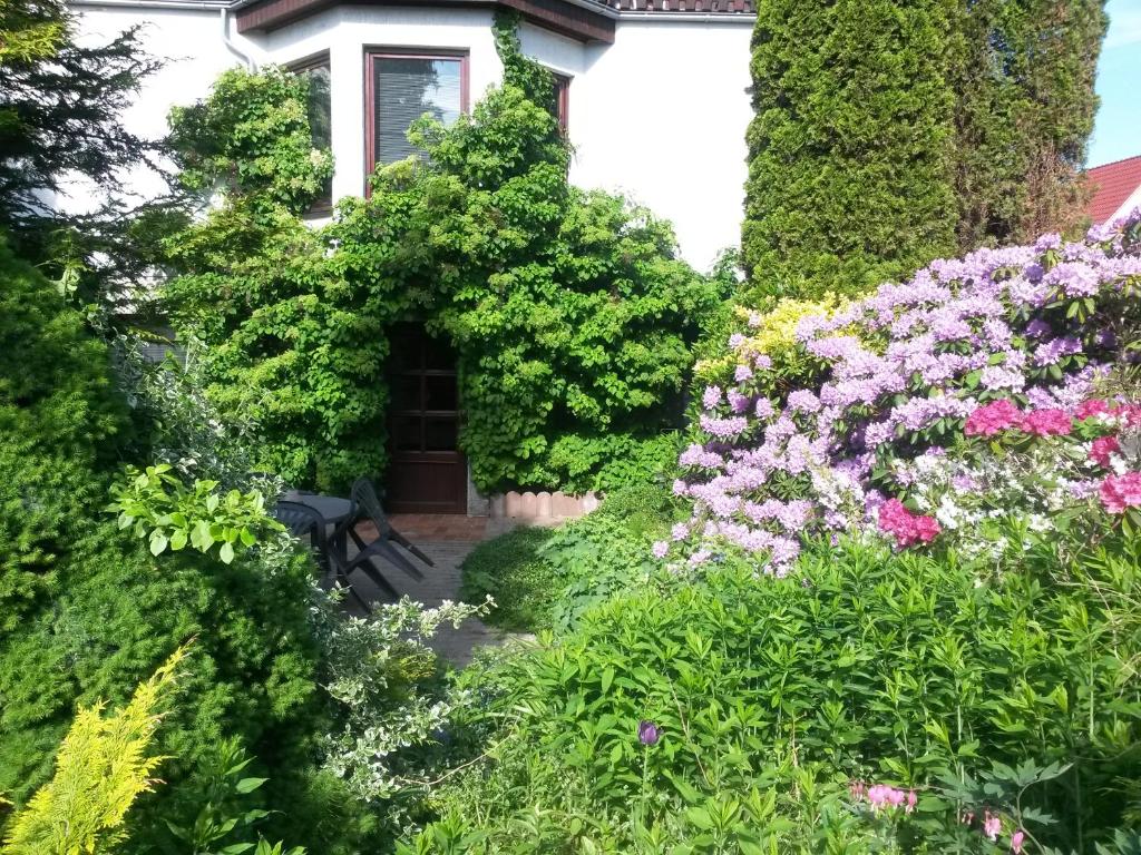 Appartement auf Rügen في ساغارد: حديقة بها زهور أمام المنزل