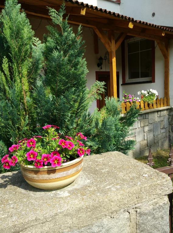 Zahrada ubytování Villa Plischke