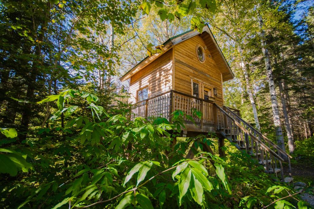 a tree house with a deck in the woods at Canopée Lit in Sacré-Coeur-Saguenay