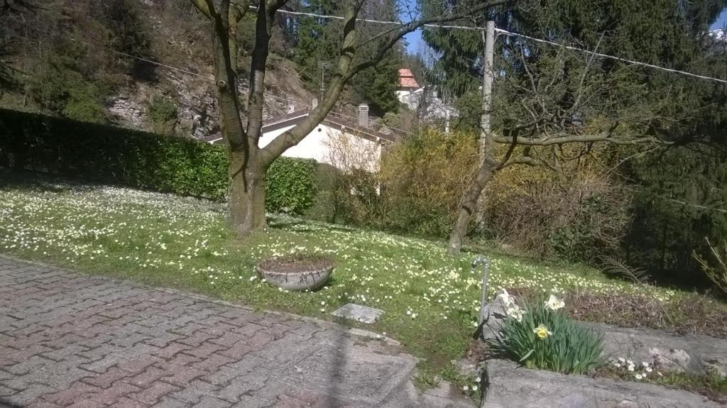 Zahrada ubytování Casa Pierini