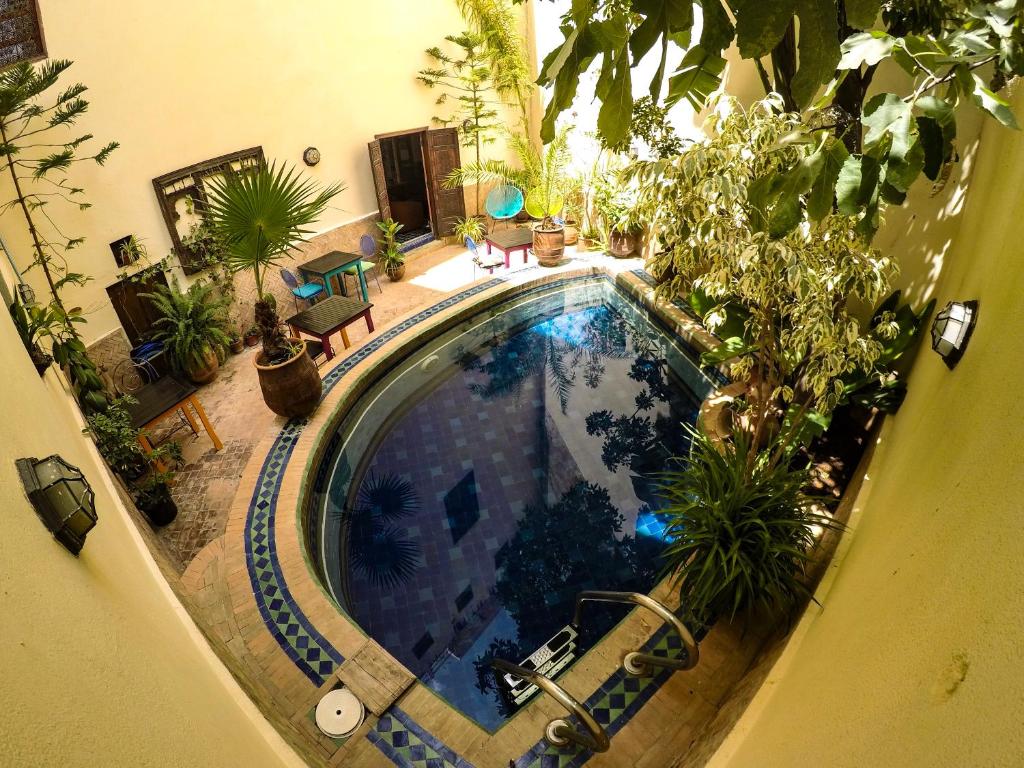 an overhead view of a swimming pool with plants at Riad La Clé De Fès in Fez