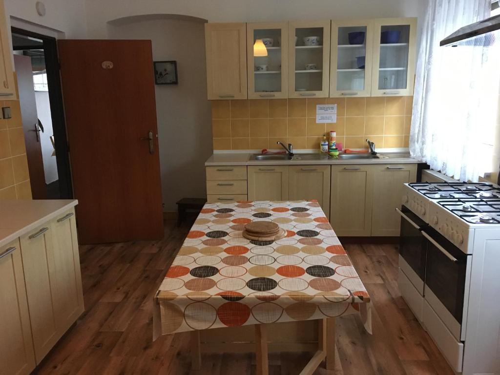 Kuchyň nebo kuchyňský kout v ubytování Villa Plischke