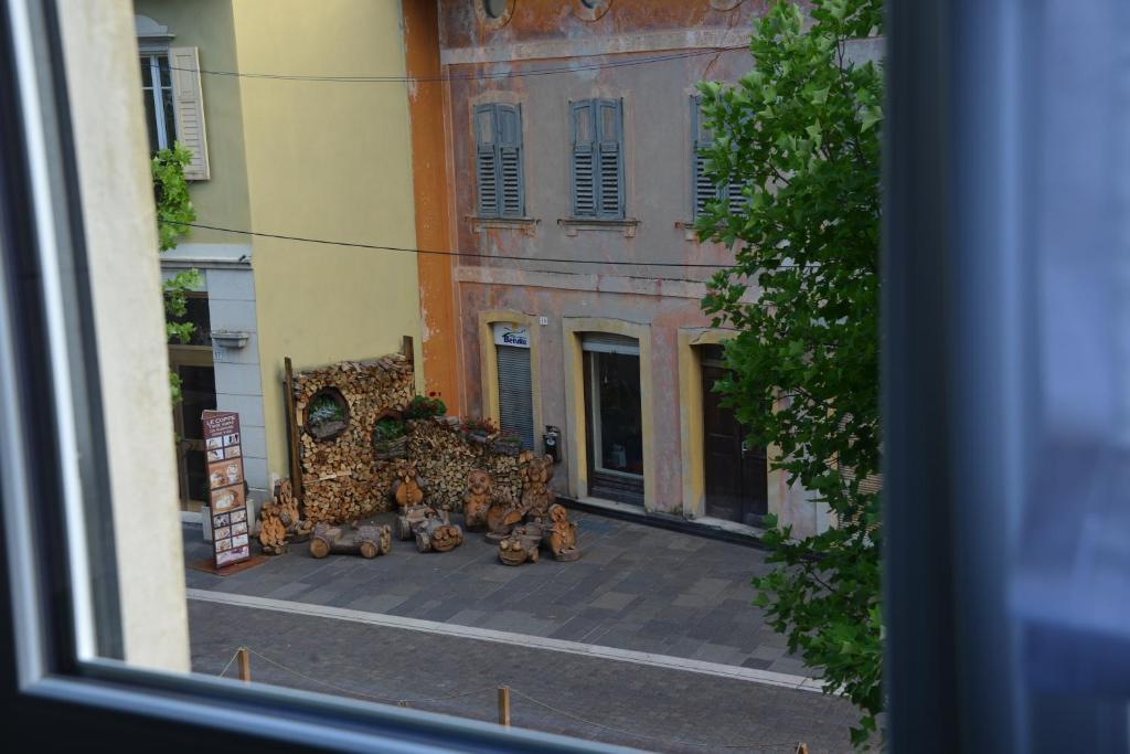grupa misiów leżąca na ulicy w obiekcie Chez George w mieście Levico Terme