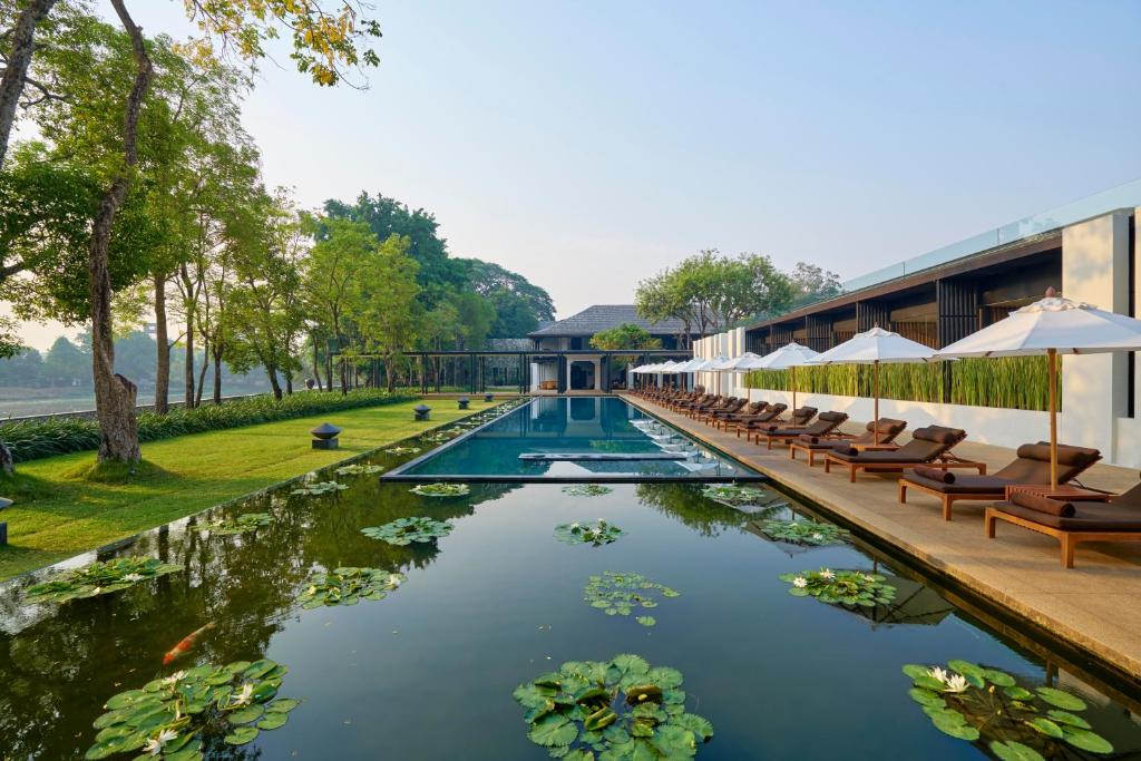 a swimming pool with chairs and lilies in the water at Anantara Chiang Mai Resort in Chiang Mai