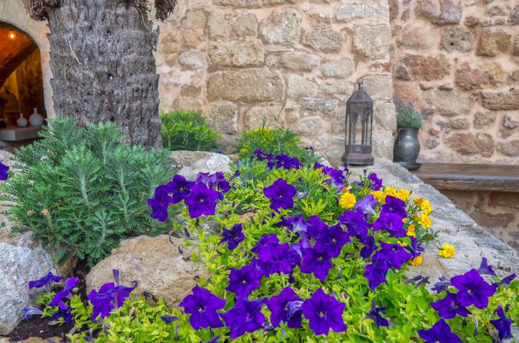 Trinity Boutique Hotel - Resim 31