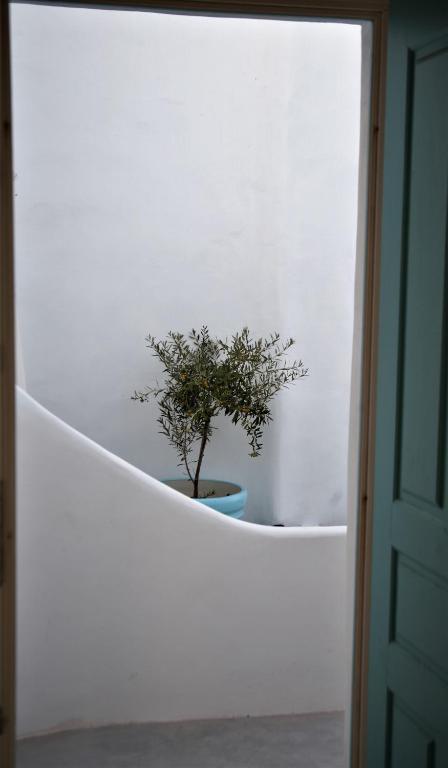 Mykonos Moussa - Apartment With Garden View