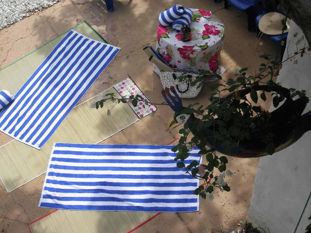 Aed väljaspool majutusasutust Hostal Palohe Taganga