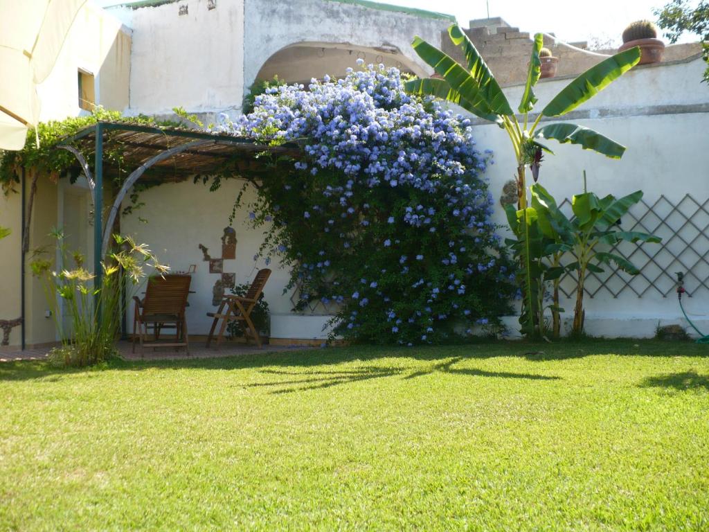 Zahrada ubytování Hotel Savoia