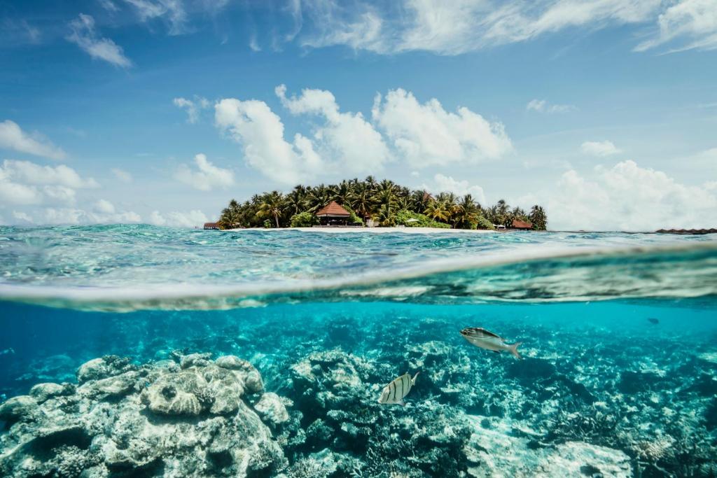 eine Insel im Ozean neben einem Korallenriff in der Unterkunft ROBINSON MALDIVES - Adults only in Gaafu Alifu Atoll