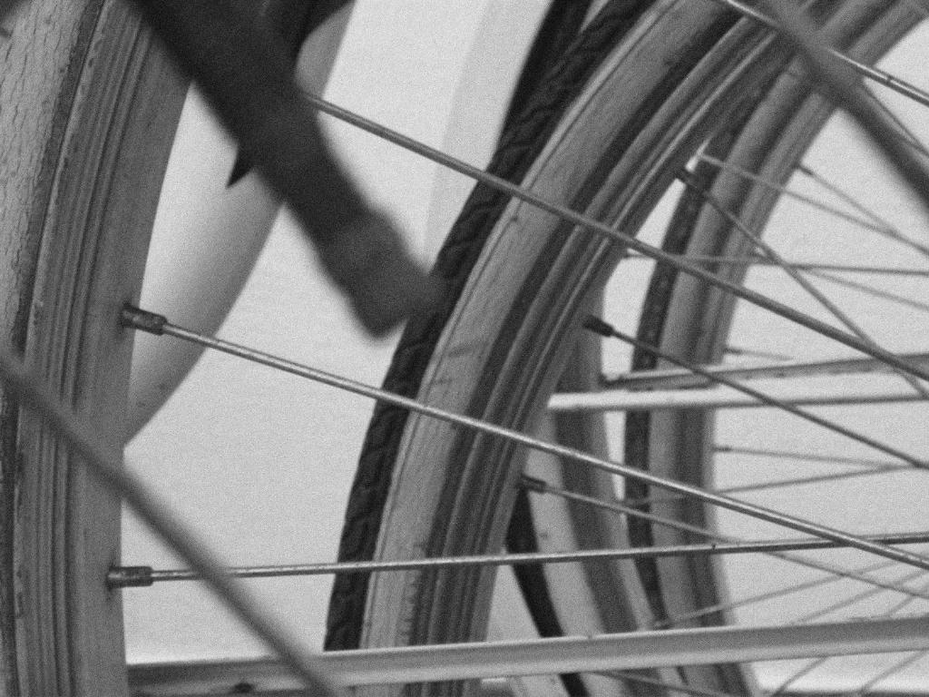 Attività di ciclismo presso l'hotel o nelle vicinanze
