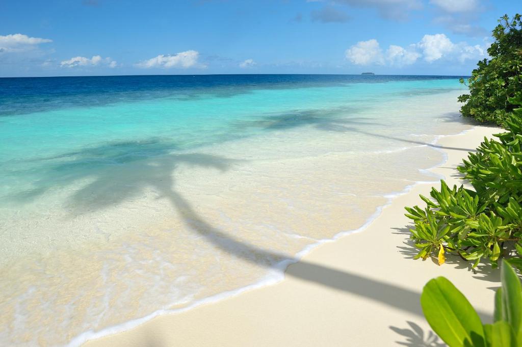 ROBINSON MALDIVES - Adults only - View 10