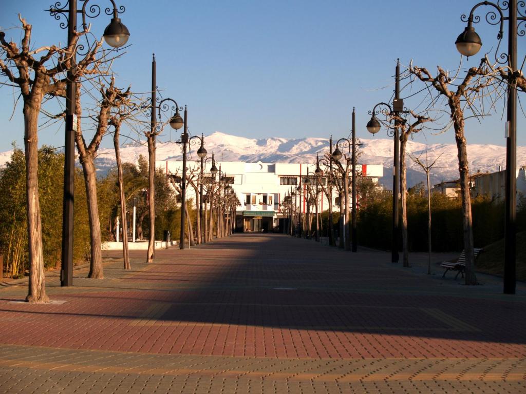 una strada fiancheggiata da alberi e luci con montagne sullo sfondo di Hotel Corona de Atarfe ad Atarfe