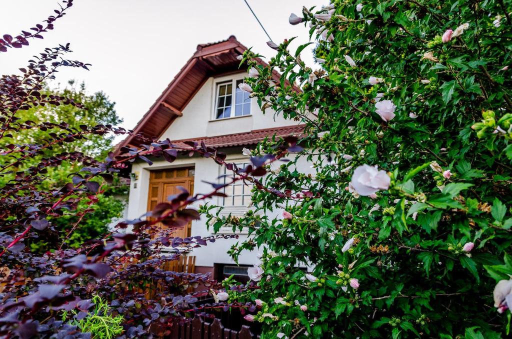 una casa blanca oscurecida por árboles y flores en Parkland Inn en Érd