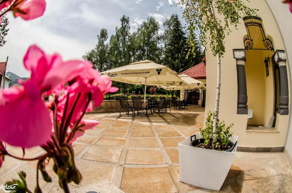 Een tuin van Hotel Bulevard Predeal