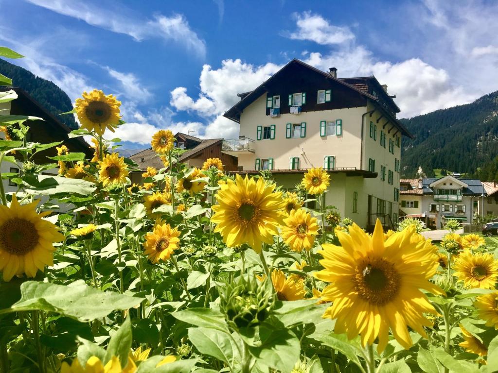 a field of sunflowers in front of a building at Central Apartment Canazei in Canazei