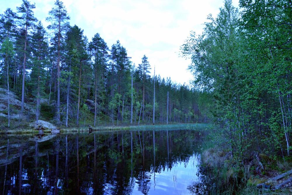 un cuerpo de agua en medio de un bosque en Tuura, en Orivesi