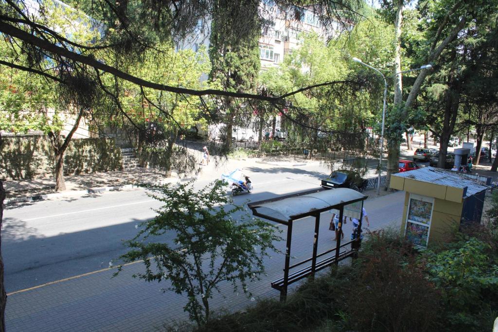 ラザレフスコエにあるApartment on Pobedy streetのバス停付き通りの上面