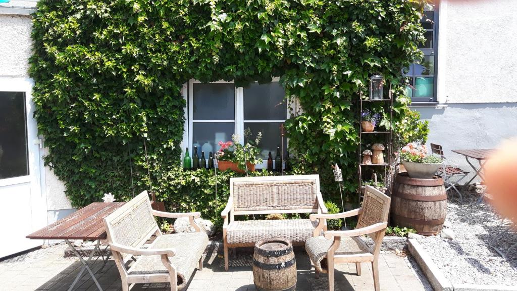 Zahrada ubytování Hotel Gasthof Traubenbräu