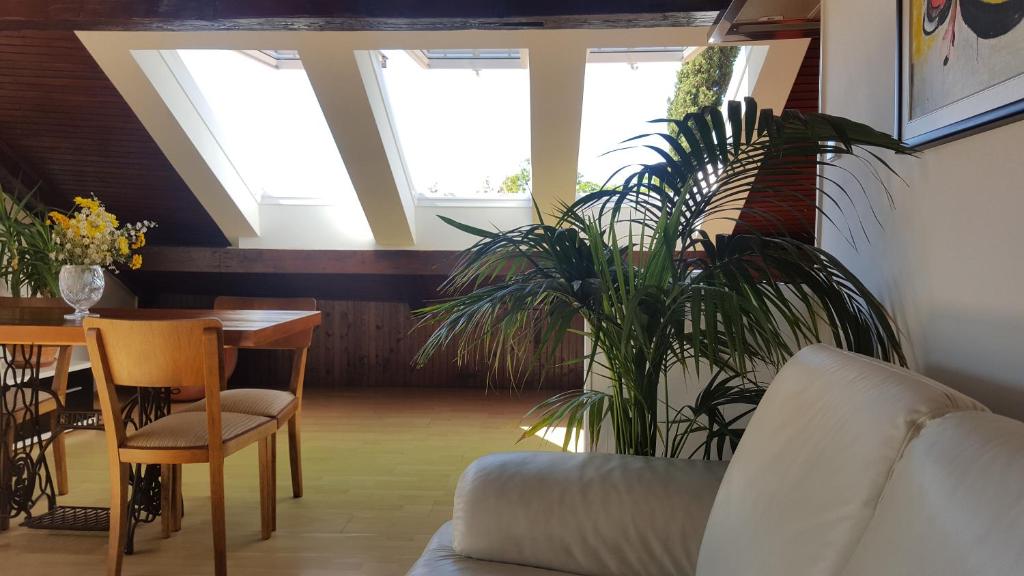 Turtle Apartments - 18