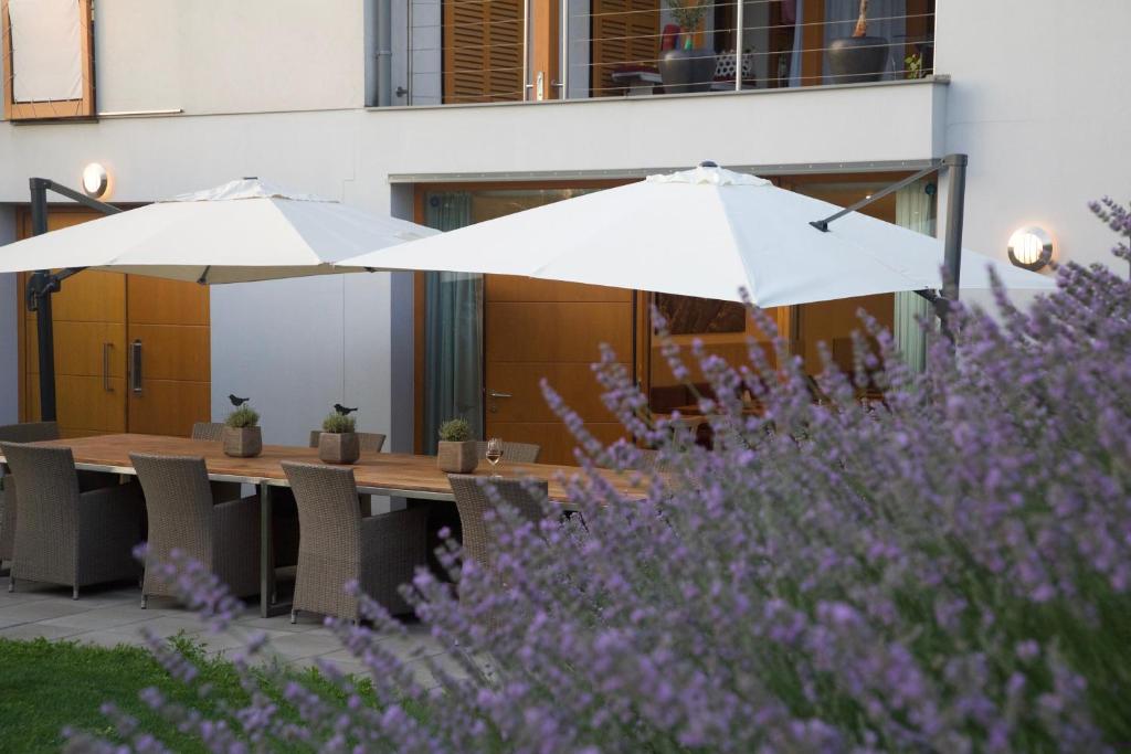 A garden outside SCHEIBER Wein & Gästehaus