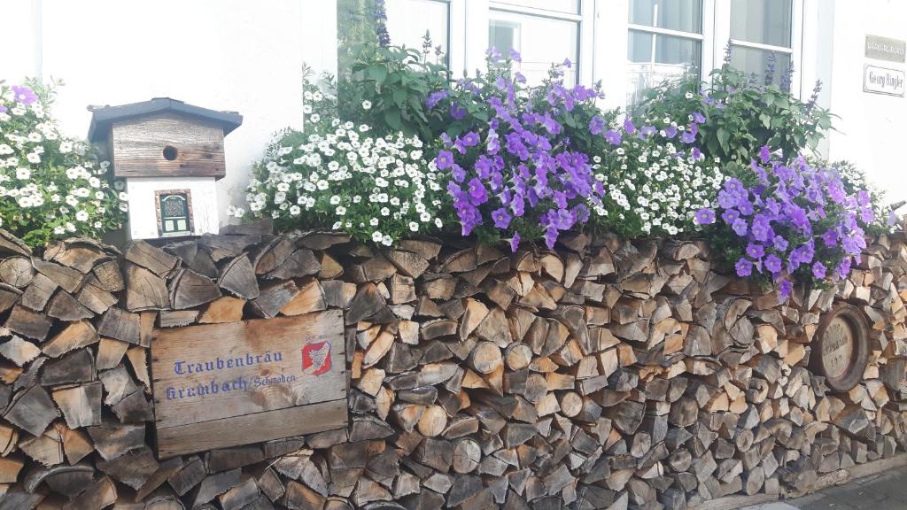 Fotografie z fotogalerie ubytování Hotel Gasthof Traubenbräu v destinaci Krumbach