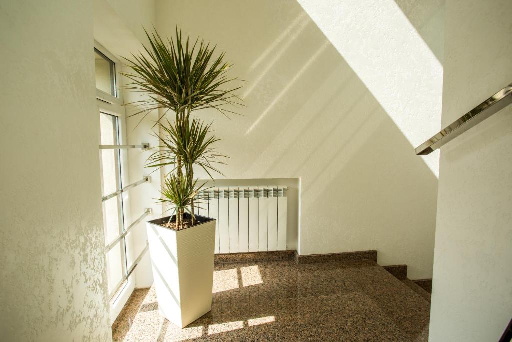 Fotografie z fotogalerie ubytování Mackintosh Hotel v Kyjevě