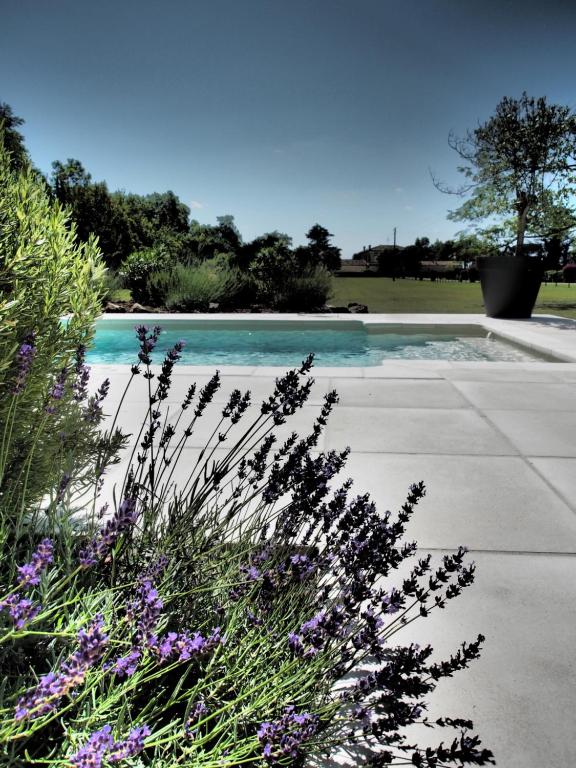 einen Garten mit lila Blumen und einem Pool in der Unterkunft La Villa a Chateau Franc-Daut Sleeps 6 in Saint-Magne-de-Castillon