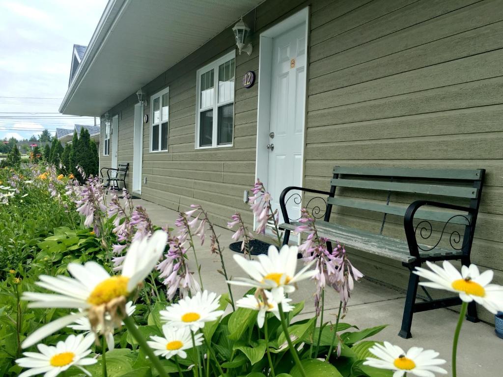 Zahrada ubytování Motel des Cèdres