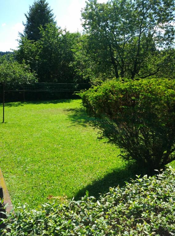Zahrada ubytování Villa Plischke
