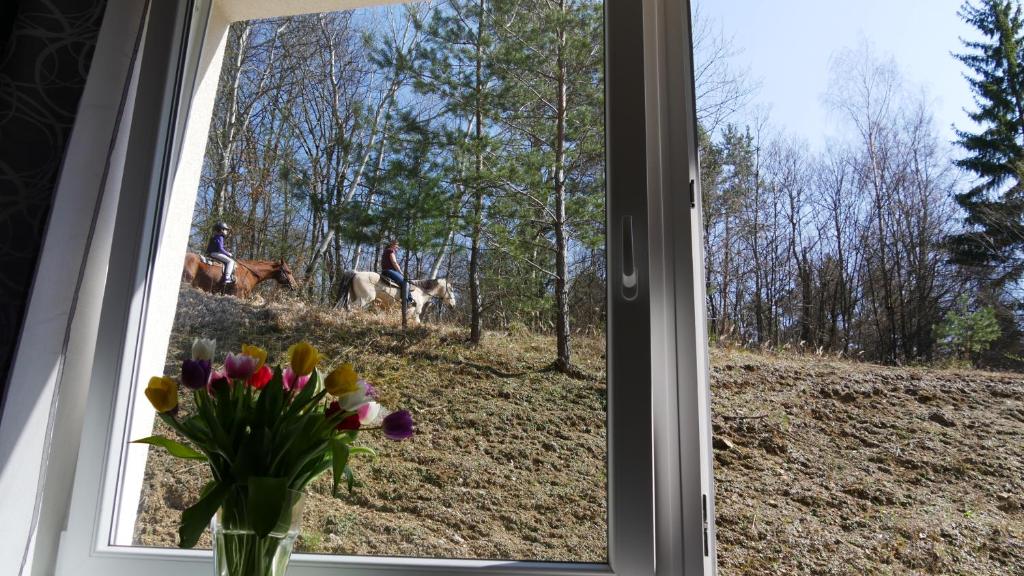 Zdjęcie z galerii obiektu Všemina Apartman w mieście Lužkovice
