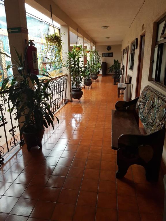 Posezení v ubytování Hotel Nuevo Cupatitzio