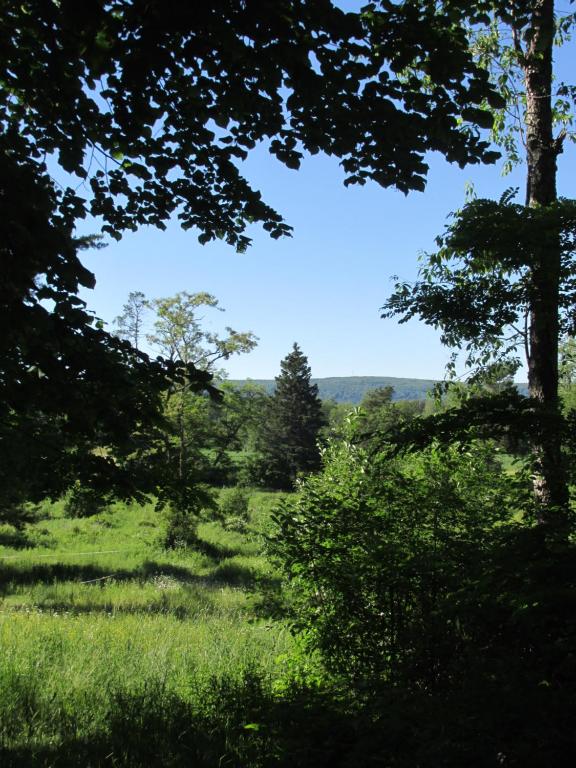 a field of grass with trees in the distance at Burnbrae Farm & Paradise Inn in Bridgetown