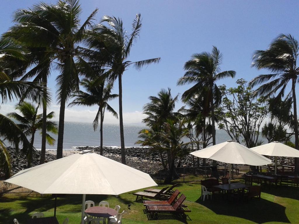 a beach with palm trees and chairs and umbrellas at Apartment in Dolphin Heads in Eimeo