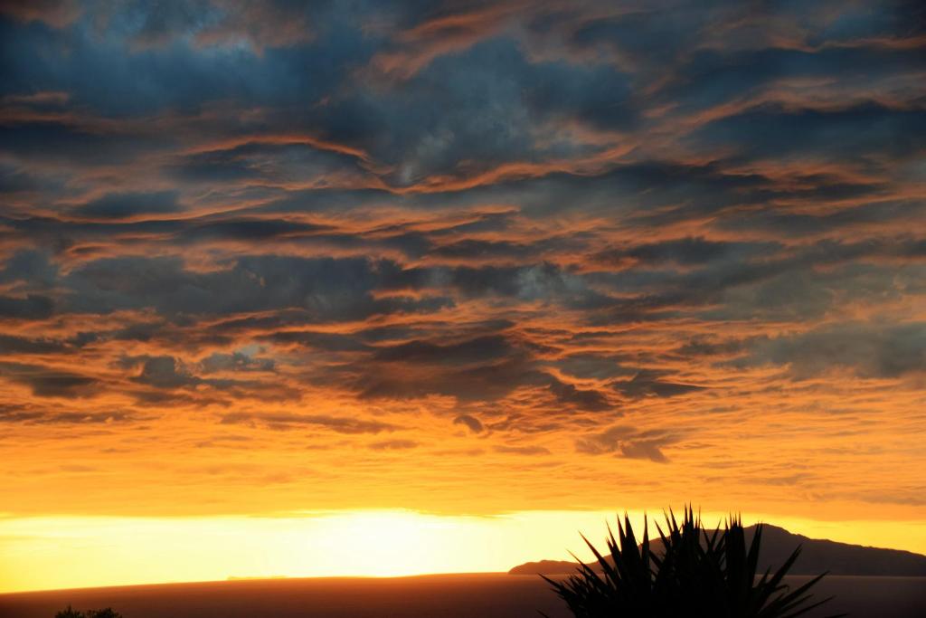 un cielo nublado con una palmera en primer plano en villa damecuta B&B, en Anacapri