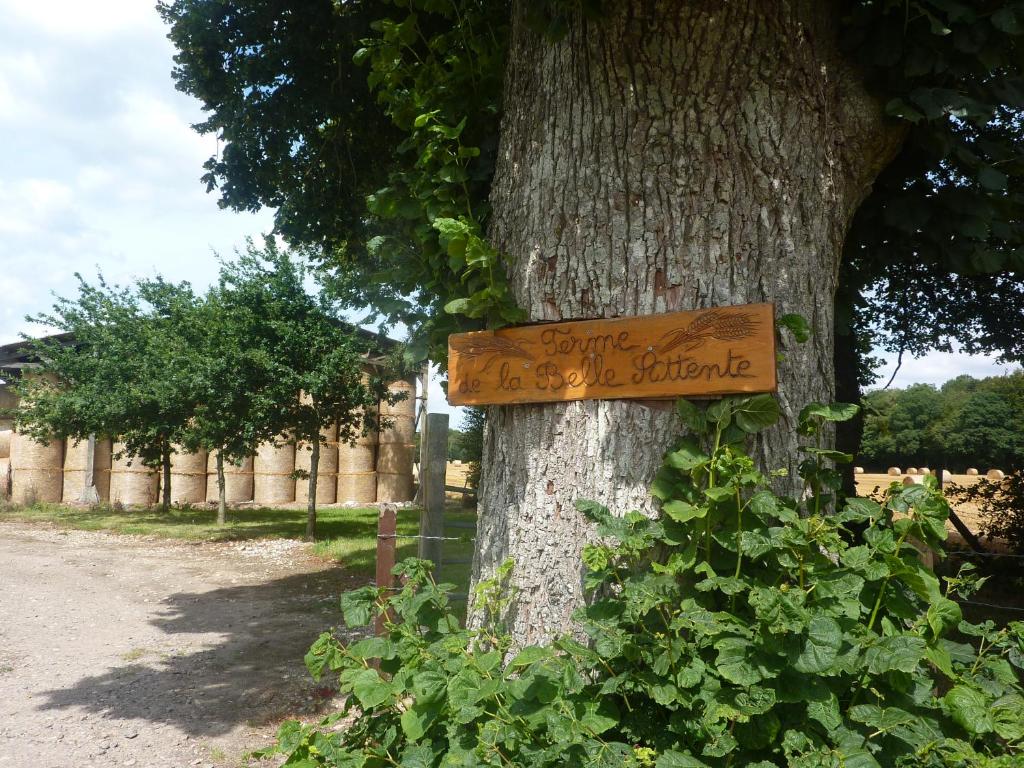 un signe sur un arbre devant un arbre dans l'établissement Gîte de la belle attente, à Marques