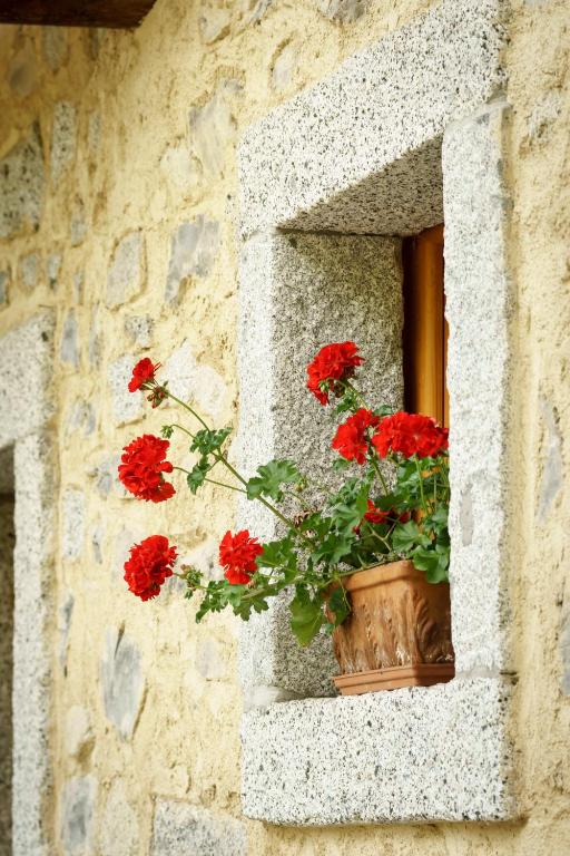 Fotografie z fotogalerie ubytování Agritur Manoncin v destinaci Daone