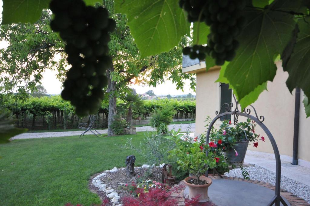 Zahrada ubytování Agriturismo Corte Albarel