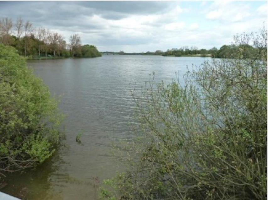 a view of a river with trees and bushes at Le Chêne Liège in Maché