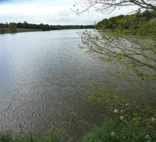 a large body of water with trees in the background at Le Chêne Liège in Maché