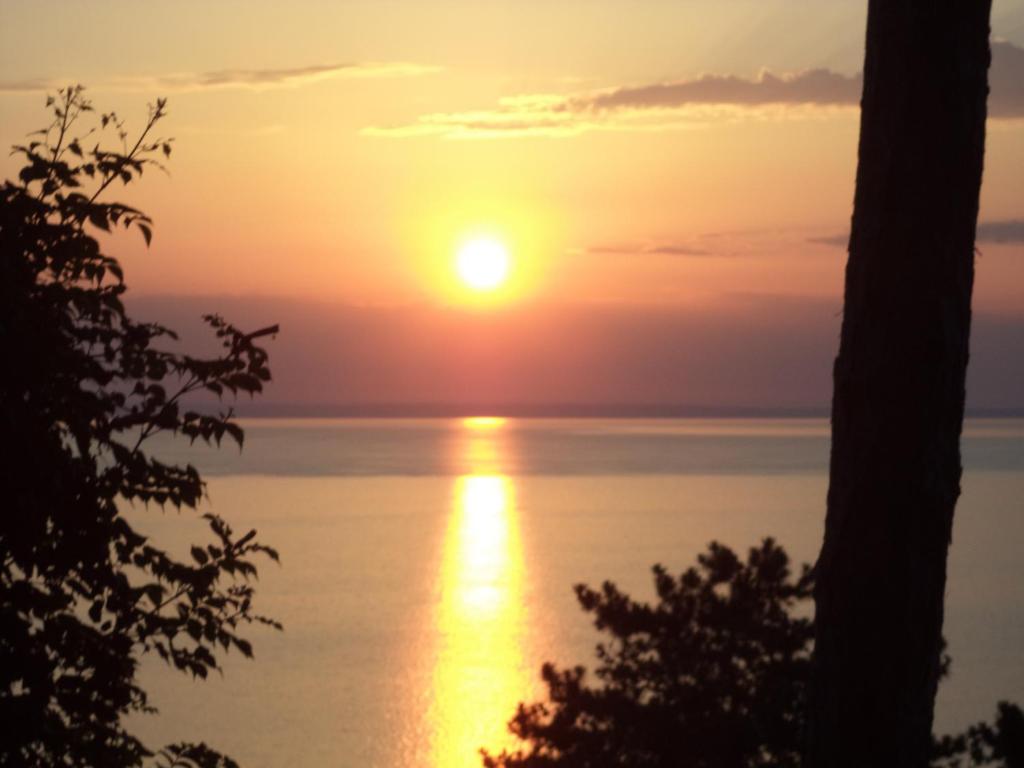 a sunset over the water with trees in the foreground at Napkelte Apartman in Tihany