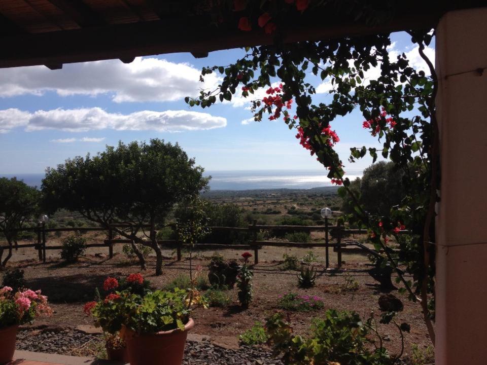 vistas a un jardín con flores y árboles en Agricamping Su Nuragheddu, en Dorgali